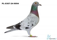 PL-0367-24-9094