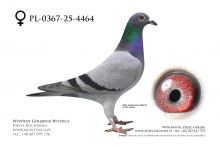 PL-0367-25-4464: J+R Zytkiewicz, 39. Lotnik, m in 12m z FINAŁU