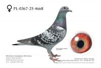 PL-0367-25-4668: J+R Zytkiewicz, 40. Lotnik, m in 13m z FINAŁU