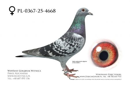 PL-0367-25-4668: J+R Zytkiewicz, 40. Lotnik, m in 13m z FINAŁU