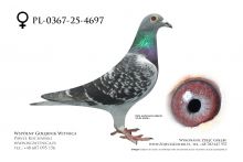 PL-0367-25-4697: J+R Zytkiewicz, 12. Lotnik, m in 6m, 34m z FINAŁU