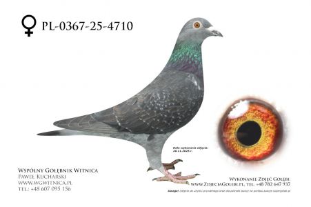 PL-0367-25-4710: J + R Zytkiewicz