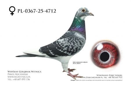 PL-0367-25-4712: J + R Zytkiewicz