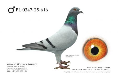 PL-0367-25-616: Mariusz Pietkiewicz, 65. Lotnik, m in 34m, 16m