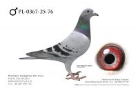 PL-0367-25-76: Wladyslaw Woloszyn, 15. Lotnik, m in 47m, 41m z FINAŁU