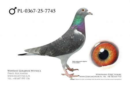 PL-0367-25-7745: J+R Zytkiewicz, 7. Lotnik, m in 29m, 6m z FINAŁU