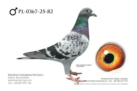 PL-0367-25-82: Wladyslaw Woloszyn, 3. Lotnik, m in 36m, 9m z FINAŁU