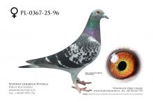 PL-0367-25-96: Wladyslaw Woloszyn, 47. Lotnik, m in 21m z FINAŁU