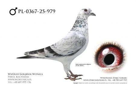 PL-0367-25-979: Mariusz Pietkiewicz