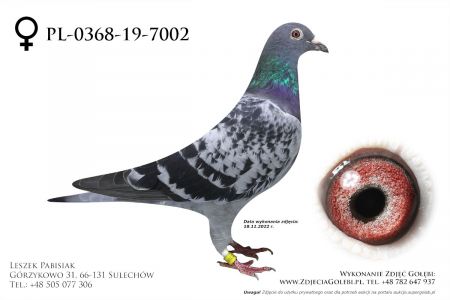 PL-0368-19-7002 - LIKWIDACJA HODOWLI