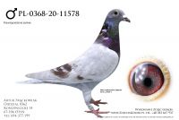 PL-0368-20-11578 - Prange, Doll, Schaerlackens