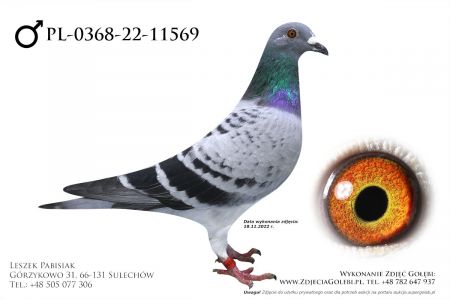 PL-0368-22-11569 - LIKWIDACJA HODOWLI