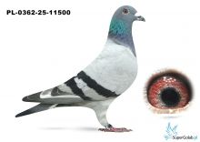 PL.0368-25-11500