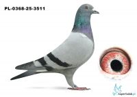 PL.0368-25-3511