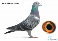 PL-0368-25-3652
