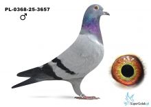 PL-0368-25-3657