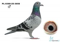 PL-0368-25-3658