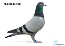 PL-0368-26-7504    11 miejsce półfinał - Klementyna- Eliza 