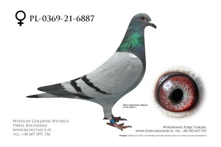 PL-0369-21-6887: Nieradka Bogdan, 15. Lotnik, m.in. 6m.