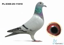 PL.0369-25-11810