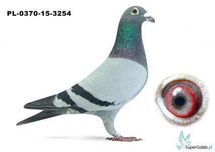 PL-0370-15-3254- org IKD Łepuch