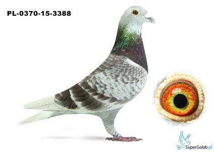 PL-0370-15-3388 - Linia Vos 94