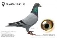 PL-0370-22-13119