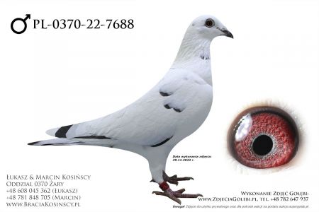 PL-0370-22-7688