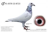 PL-0370-22-8723