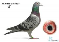 PL-0370-23-3107
