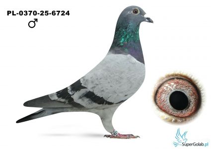 PL-0370-25-6724 Kosiński Ł.M. - 19 lotnik WG