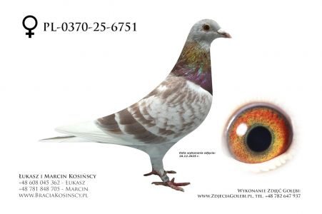 PL-0370-25-6751 - samica