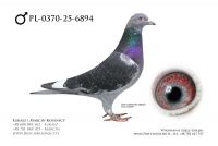 PL-0370-25-6894 - samiec