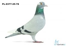 PL-0377-25-78 9. OKRĘG WŁOCŁAWEK