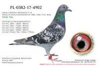 PL-0382-17-4902