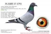 PL-0385-17-1793
