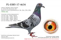 PL-0385-17-4634