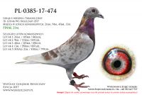 PL-0385-17-474