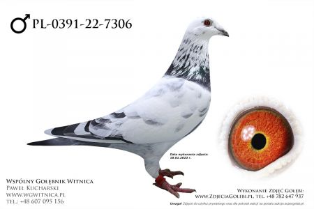 PL-0391-22-7306: Musial Adam, 80. Lotnik, m in 38m, 43m z FINAŁU