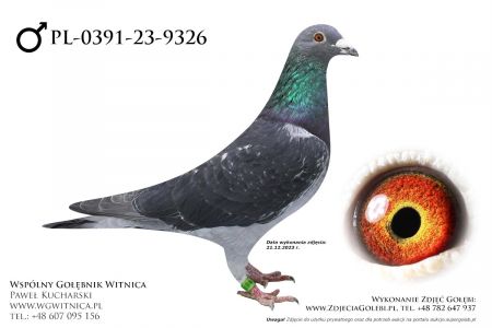 PL-0391-23-9326: Musial Adam, m in 49m