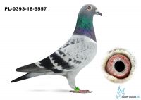 PL-0393-18-5557