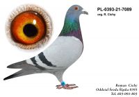 PL-0393-21-7089 org. Roman CICHY