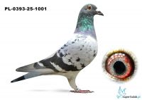 PL-0393-25-1001