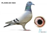 PL-0393-25-1023