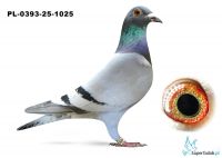 PL-0393-25-1025