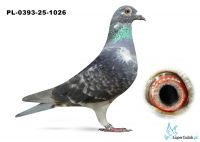PL-0393-25-1026