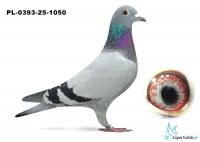 PL-0393-25-1050