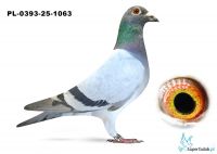 PL-0393-25-1063