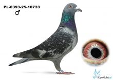 PL-0393-25-10733