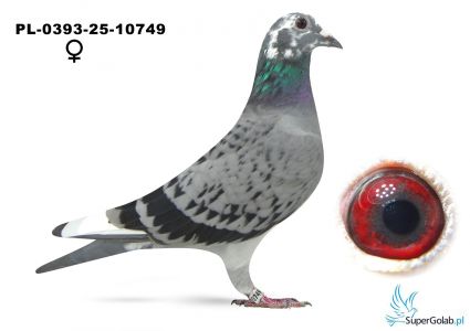 PL-0393-25-10749  - 1 konk z lotu nr 5:  320 km